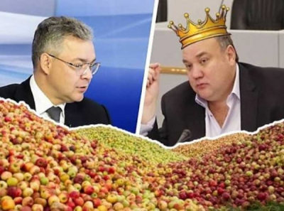 Террор на Ставрополье: как "Партия Жуликов и Воров" продвигает Айдына Ширинова